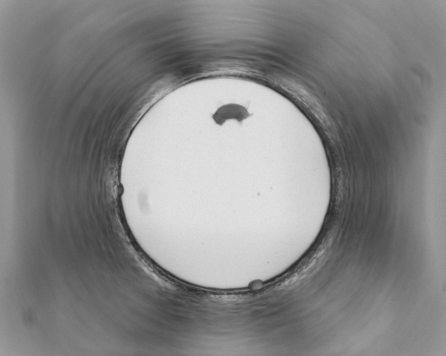 X0000111381377200908211330