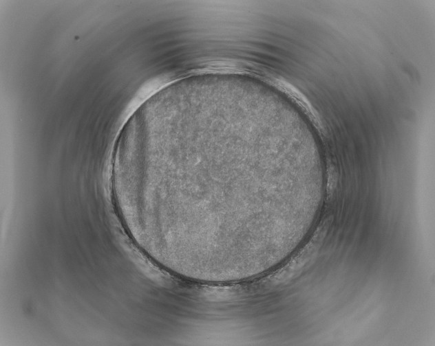 X0000111381378200908211330