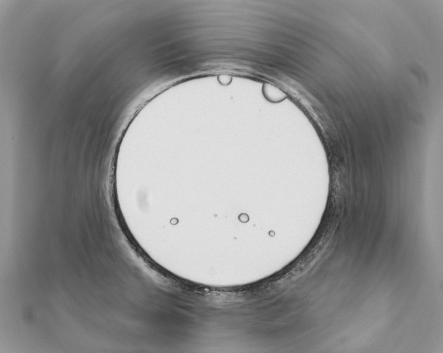 X0000111381379200908211330