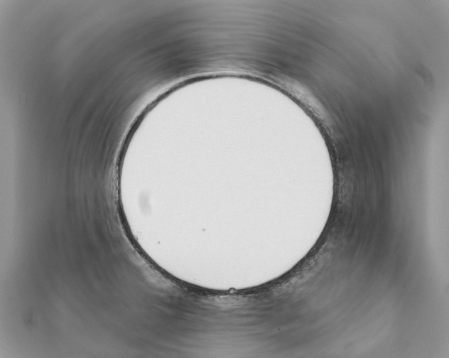 X0000111381380200908211330