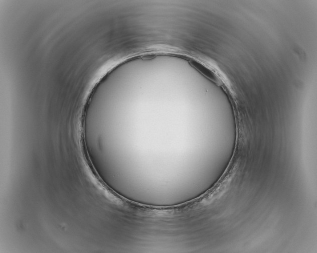 X0000111381381200908211330