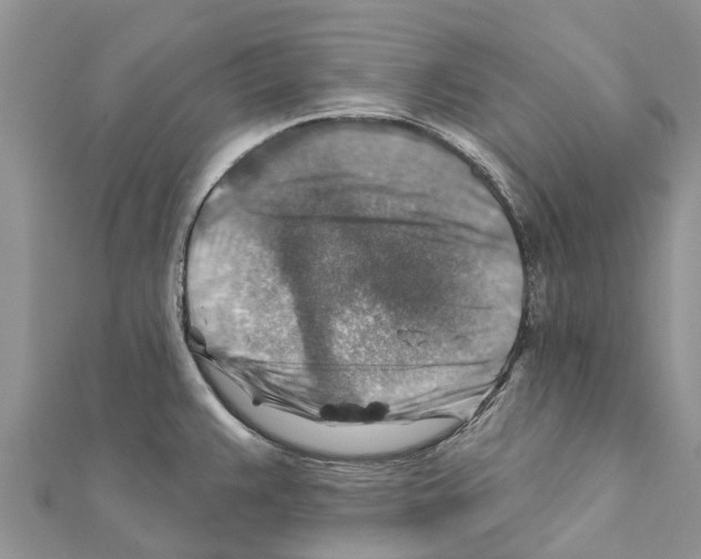 X0000111381383200908211330