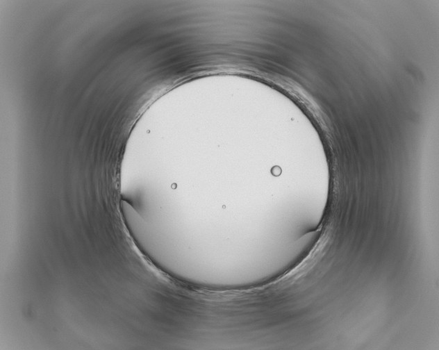 X0000111381385200908211330