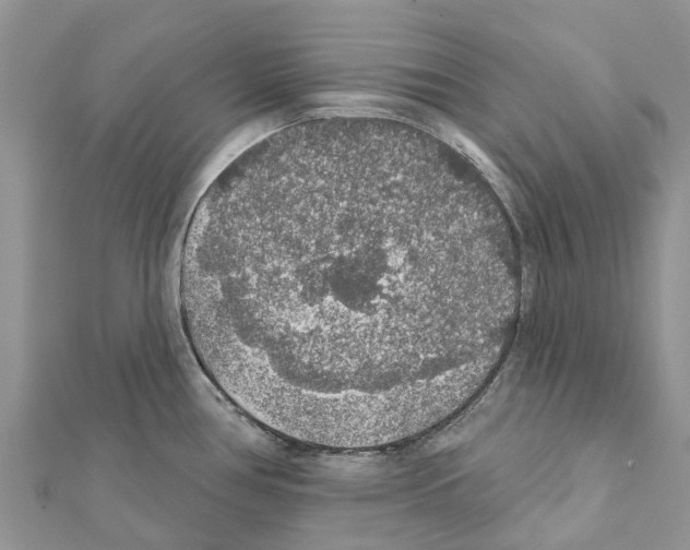 X0000111381386200908211330