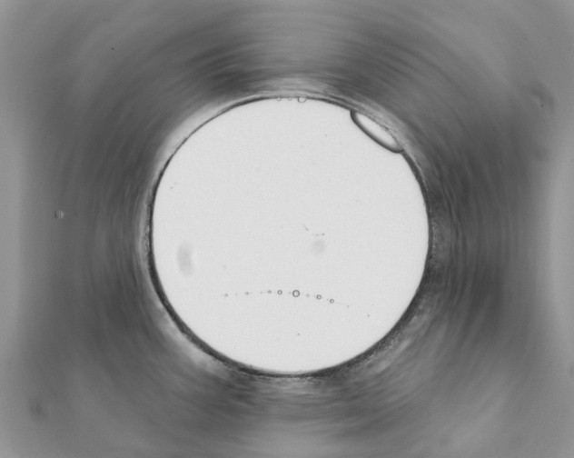 X0000111381387200908211330