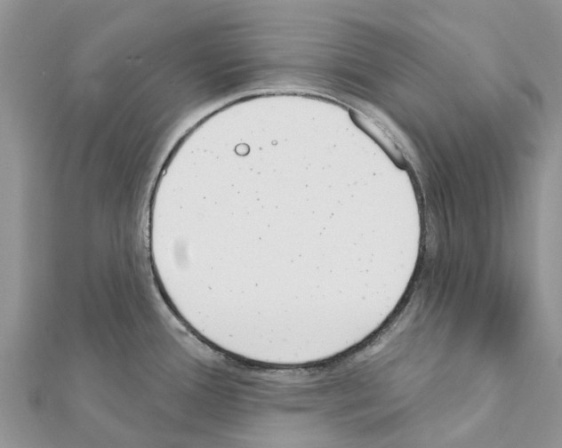 X0000111381388200908211330