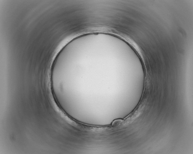 X0000111381389200908211330