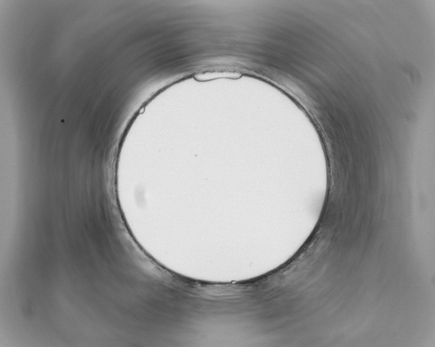 X0000111381392200908211330