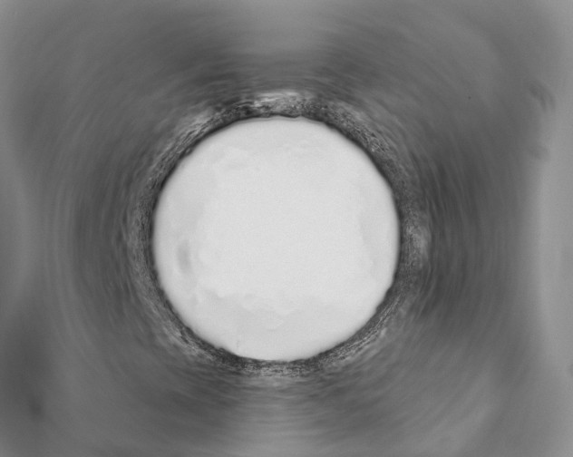 X0000111381393200908211329