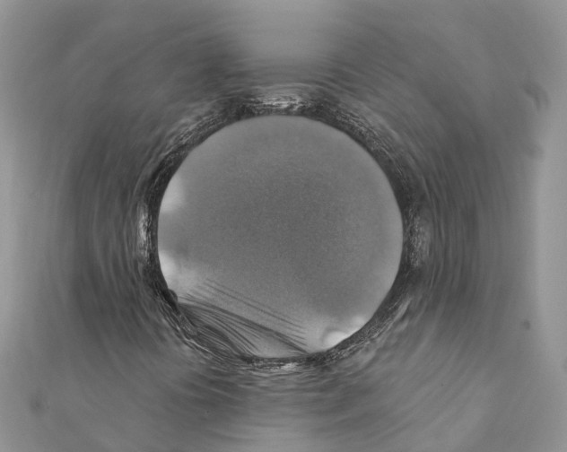 X0000111381394200908211329