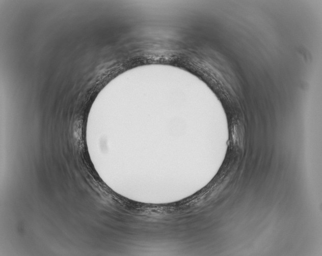 X0000111381396200908211330