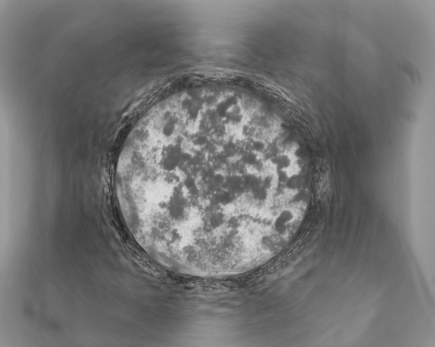 X0000111381397200908211330