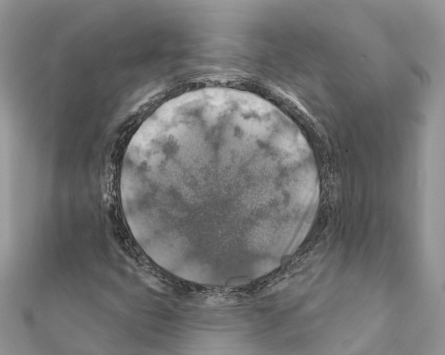 X0000111381399200908211330