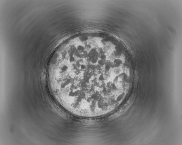 X0000111381401200908211330