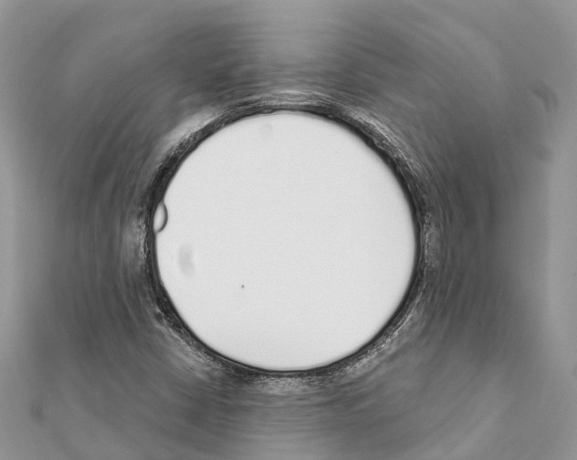 X0000111381402200908211330