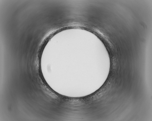 X0000111381408200908211330