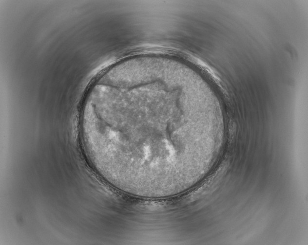 X0000111381411200908211330