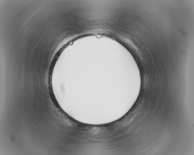 X0000111381412200908211330