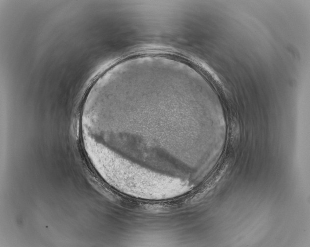 X0000111381413200908211330