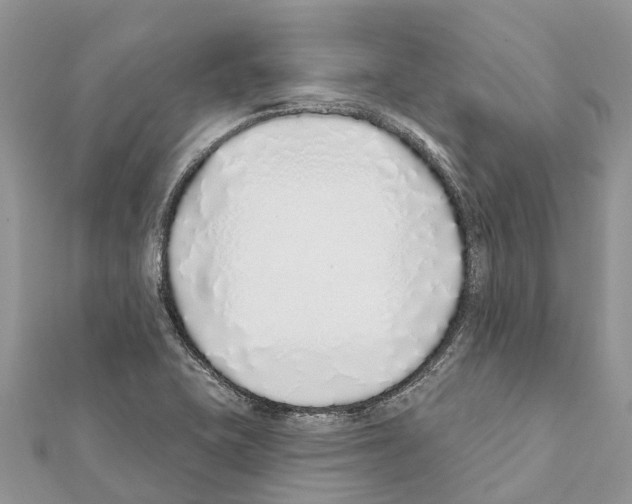 X0000111381415200908211330