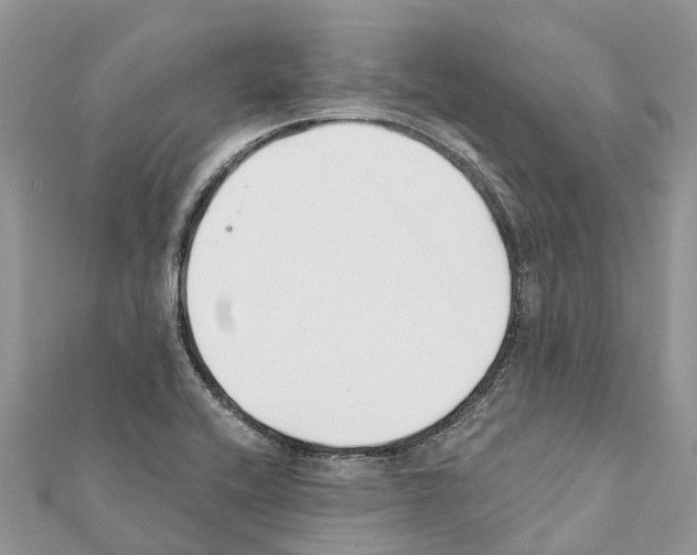 X0000111381416200908211330