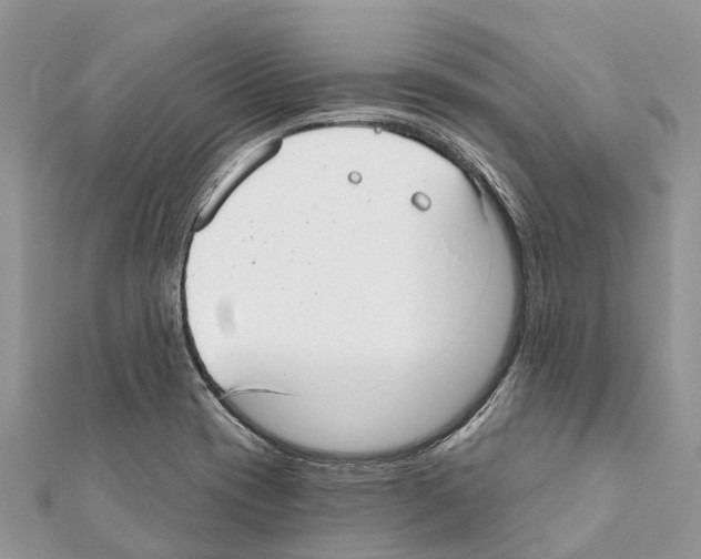 X0000111381417200908211330