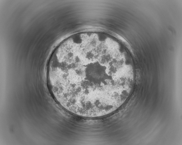 X0000111381419200908211330