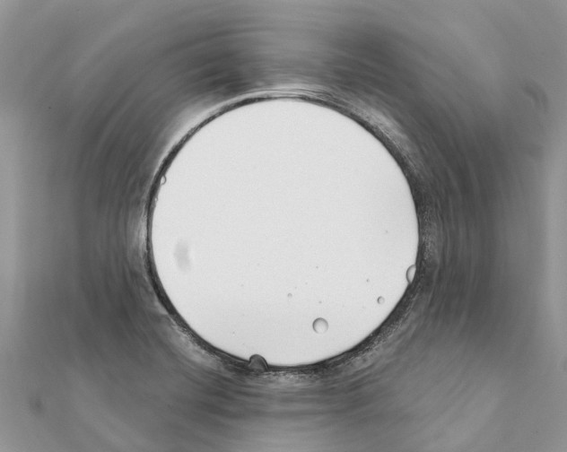 X0000111381420200908211330