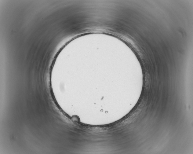 X0000111381424200908211330