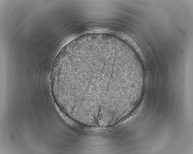 X0000111381425200908211330