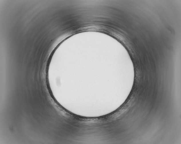 X0000111381426200908211330