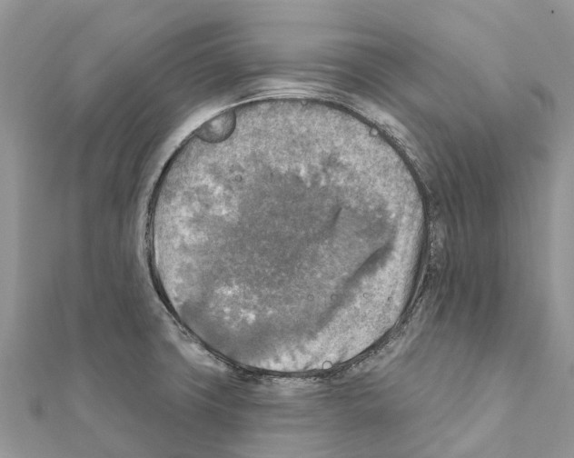 X0000111381427200908211330