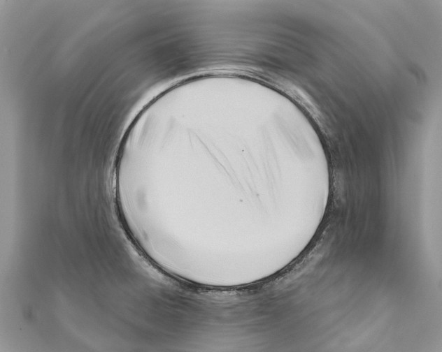 X0000111381428200908211330