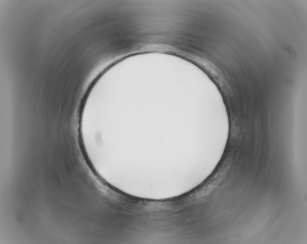 X0000111381430200908211330