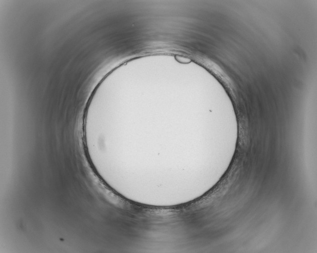 X0000111381431200908211330