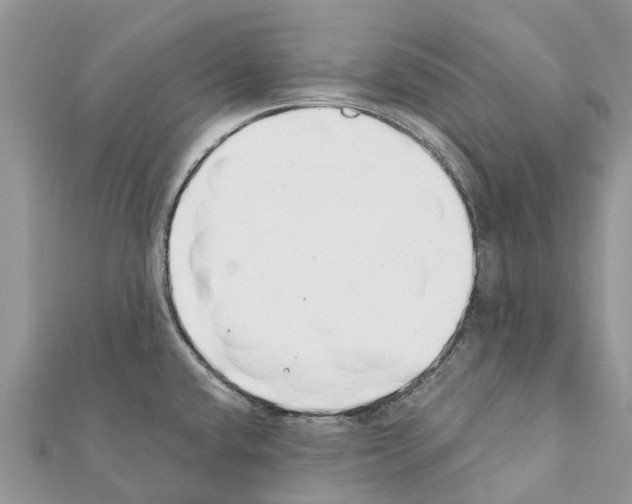 X0000111381432200908211330