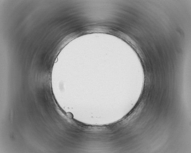 X0000111381433200908211330