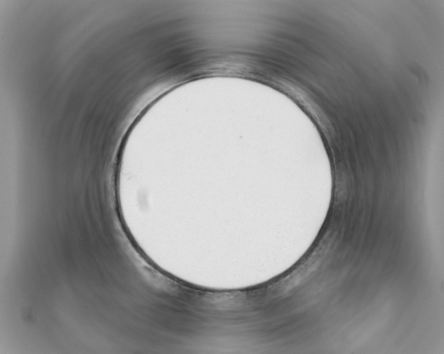 X0000111381434200908211330