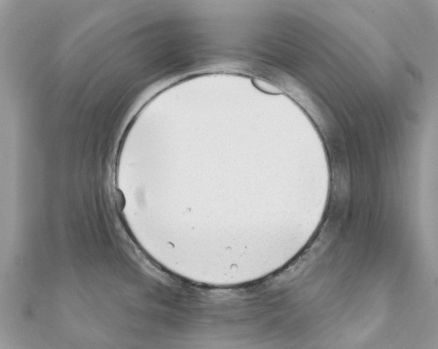 X0000111381436200908211330