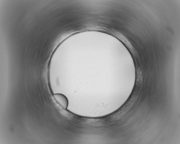 X0000111381439200908211330