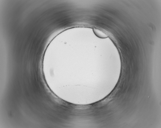 X0000111381440200908211330