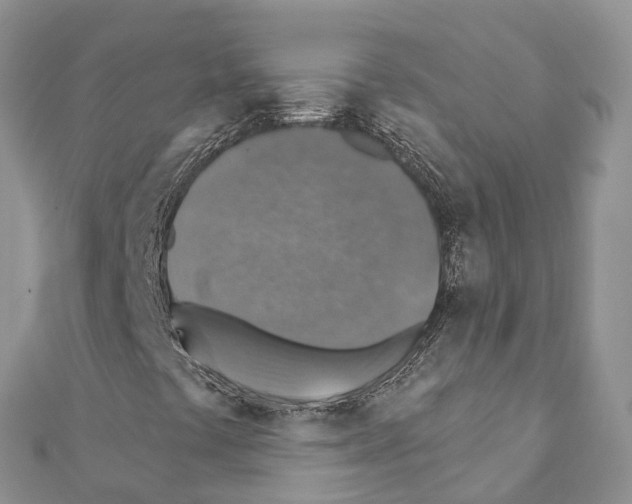 X0000111381441200908211329