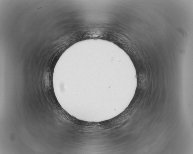 X0000111381442200908211329