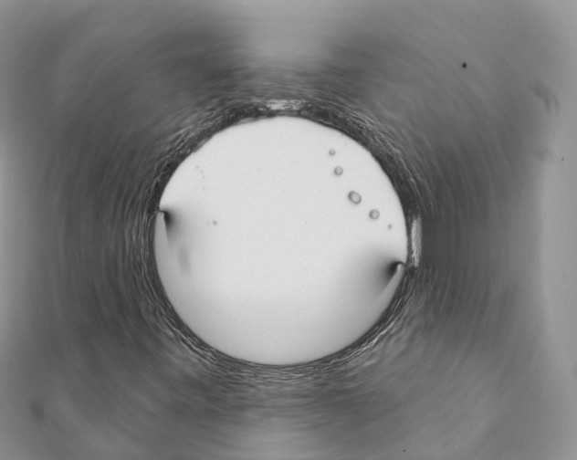 X0000111381443200908211329