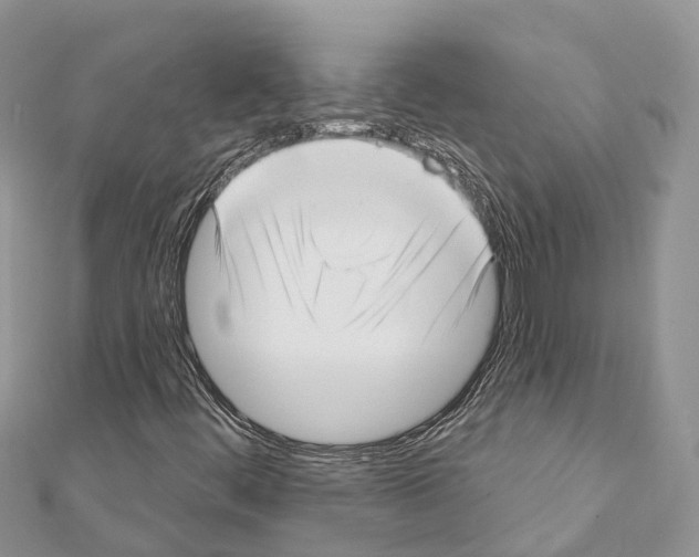 X0000111381444200908211329