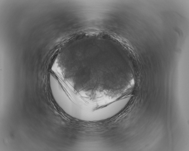 X0000111381445200908211329