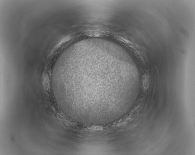 X0000111381446200908211329