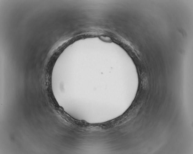 X0000111381448200908211329