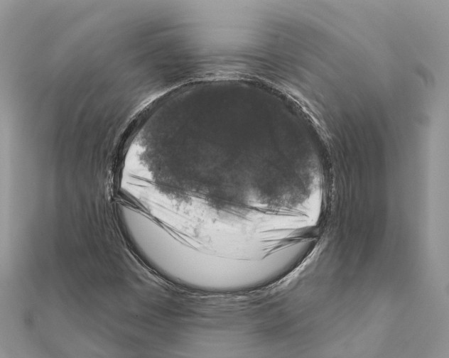 X0000111381449200908211329