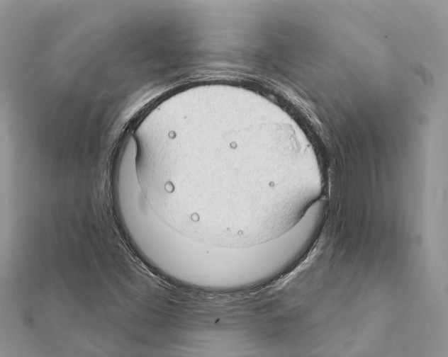 X0000111381453200908211329